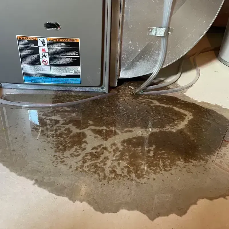 Appliance Leak Cleanup in Lake Catherine, IL